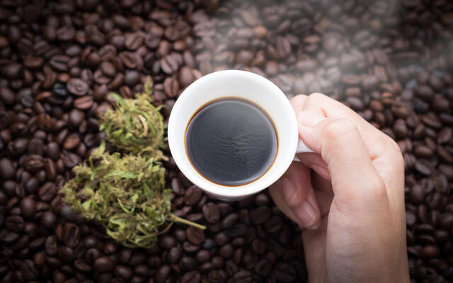 Pruebe mezclas de café si le gusta la cafeína pero no el café